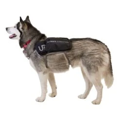 Ultimate Direction Dog Vest Harness Black -Nordis Camping Shop 80469820 005