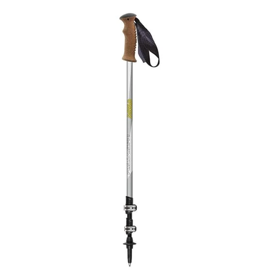 Asolo Radiant QL Roundhead Poles Grey (Pair) 1 Asolo Radiant QL Roundhead Poles Grey (Pair)