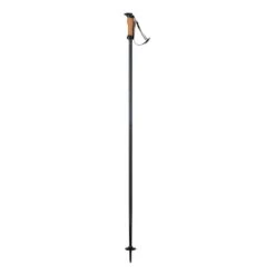 Ski Poles Elan Speedrod Deep Black (Pair)
