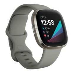 Fitbit Sense Grey