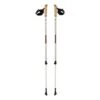 Ferrino Nordik Step-In Poles Grey Brown (pair)