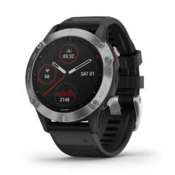 Garmin Fenix 6 Silver Black With Black Strap