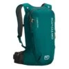 Backpack Ortovox Free Rider 22L Greenish Blue