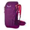 Salewa Alp Trainer 20L Backpack Lilac Pink Women