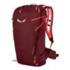 Salewa MTN Trainer 2 22L Backpack Lilac Women