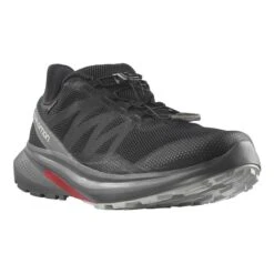 Salomon Hypulse GORE-TEX Shoes Black Grey