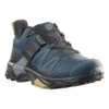 Salomon X Ultra 4 GORE-TEX Shoes Blue Black
