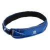Salomon Agile 250 Hydration Hydration Waist Bag Blue