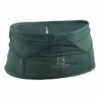 Salomon ADV Skin Hydration Belt Blue Green