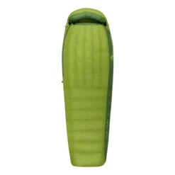Sea To Summit Ascent AC II 183 Cm Sleeping Bag Green
